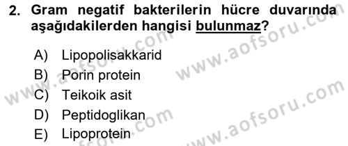 Temel Veteriner Mikrobiyoloji ve İmmünoloji Dersi 2018 - 2019 Yılı Yaz Okulu Sınav Soruları 2. Soru