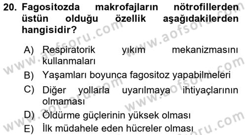 Temel Veteriner Mikrobiyoloji ve İmmünoloji Dersi 2018 - 2019 Yılı Yaz Okulu Sınav Soruları 20. Soru