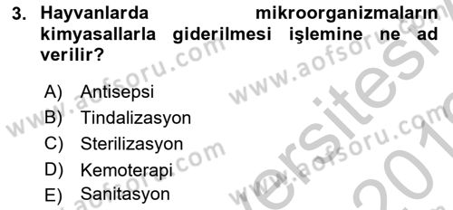 Temel Veteriner Mikrobiyoloji ve İmmünoloji Dersi 2018 - 2019 Yılı Yaz Okulu Sınav Soruları 3. Soru