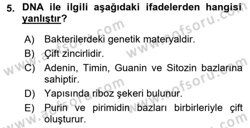 Temel Veteriner Mikrobiyoloji ve İmmünoloji Dersi 2018 - 2019 Yılı Yaz Okulu Sınav Soruları 5. Soru