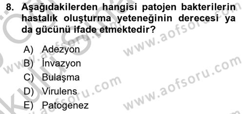 Temel Veteriner Mikrobiyoloji ve İmmünoloji Dersi 2018 - 2019 Yılı Yaz Okulu Sınavı 8. Soru