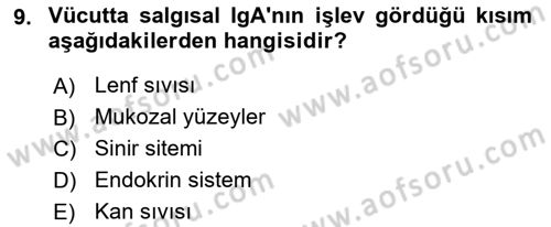 Temel Veteriner Mikrobiyoloji ve İmmünoloji Dersi 2018 - 2019 Yılı Yaz Okulu Sınavı 9. Soru