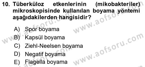 Temel Veteriner Mikrobiyoloji ve İmmünoloji Dersi 2020 - 2021 Yılı Yaz Okulu Sınav Soruları 10. Soru
