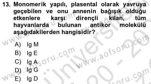 Temel Veteriner Mikrobiyoloji ve İmmünoloji Dersi 2020 - 2021 Yılı Yaz Okulu Sınav Soruları 13. Soru