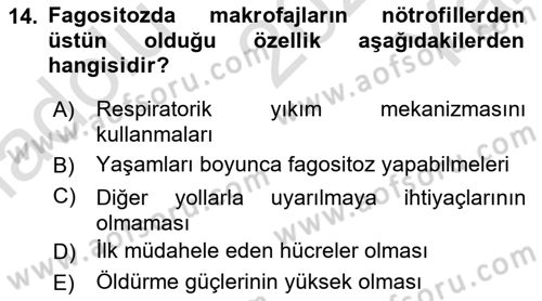 Temel Veteriner Mikrobiyoloji ve İmmünoloji Dersi 2020 - 2021 Yılı Yaz Okulu Sınav Soruları 14. Soru