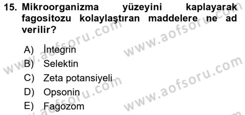 Temel Veteriner Mikrobiyoloji ve İmmünoloji Dersi 2020 - 2021 Yılı Yaz Okulu Sınav Soruları 15. Soru