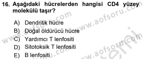 Temel Veteriner Mikrobiyoloji ve İmmünoloji Dersi 2020 - 2021 Yılı Yaz Okulu Sınavı 16. Soru