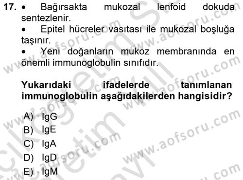 Temel Veteriner Mikrobiyoloji ve İmmünoloji Dersi 2020 - 2021 Yılı Yaz Okulu Sınav Soruları 17. Soru