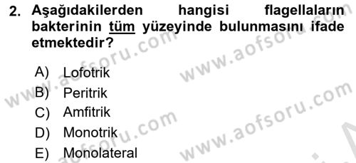 Temel Veteriner Mikrobiyoloji ve İmmünoloji Dersi 2020 - 2021 Yılı Yaz Okulu Sınavı 2. Soru