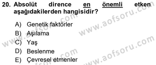 Temel Veteriner Mikrobiyoloji ve İmmünoloji Dersi 2020 - 2021 Yılı Yaz Okulu Sınav Soruları 20. Soru