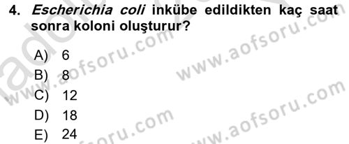 Temel Veteriner Mikrobiyoloji ve İmmünoloji Dersi 2020 - 2021 Yılı Yaz Okulu Sınav Soruları 4. Soru