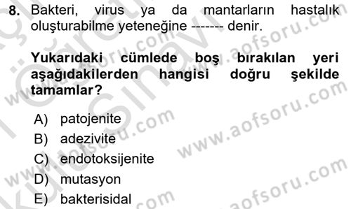 Temel Veteriner Mikrobiyoloji ve İmmünoloji Dersi 2020 - 2021 Yılı Yaz Okulu Sınav Soruları 8. Soru