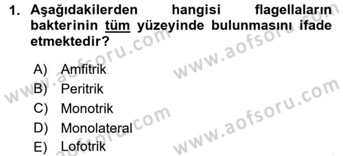 Temel Veteriner Mikrobiyoloji ve İmmünoloji Dersi 2021 - 2022 Yılı (Vize) Ara Sınav Soruları 1. Soru