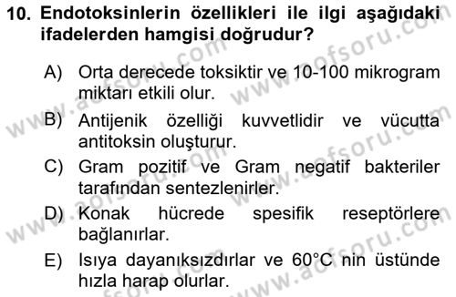 Temel Veteriner Mikrobiyoloji ve İmmünoloji Dersi 2021 - 2022 Yılı (Vize) Ara Sınav Soruları 10. Soru