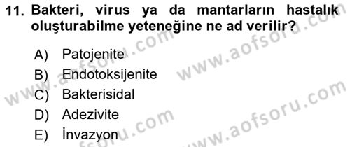 Temel Veteriner Mikrobiyoloji ve İmmünoloji Dersi 2021 - 2022 Yılı (Vize) Ara Sınav Soruları 11. Soru