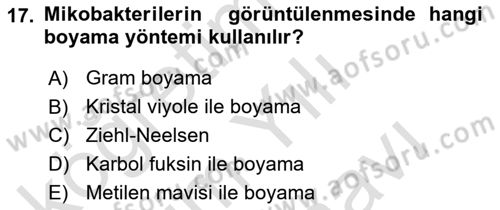 Temel Veteriner Mikrobiyoloji ve İmmünoloji Dersi 2021 - 2022 Yılı (Vize) Ara Sınav Soruları 17. Soru