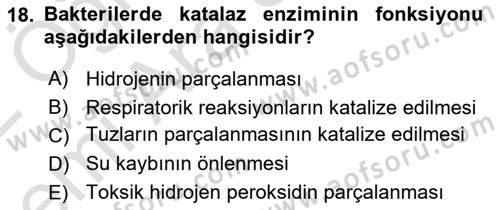 Temel Veteriner Mikrobiyoloji ve İmmünoloji Dersi 2021 - 2022 Yılı (Vize) Ara Sınav Soruları 18. Soru