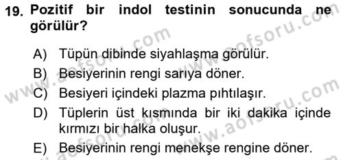 Temel Veteriner Mikrobiyoloji ve İmmünoloji Dersi 2021 - 2022 Yılı (Vize) Ara Sınav Soruları 19. Soru