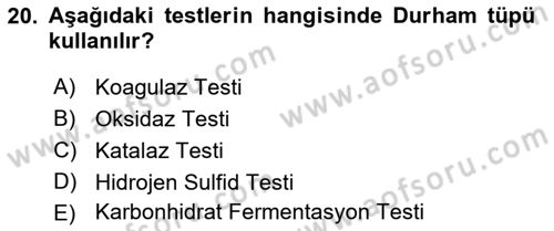 Temel Veteriner Mikrobiyoloji ve İmmünoloji Dersi 2021 - 2022 Yılı (Vize) Ara Sınav Soruları 20. Soru