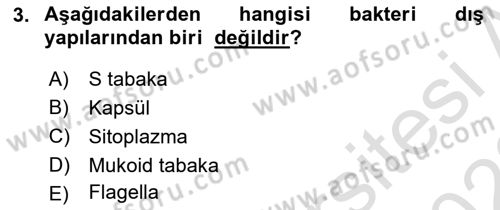 Temel Veteriner Mikrobiyoloji ve İmmünoloji Dersi 2021 - 2022 Yılı (Vize) Ara Sınav Soruları 3. Soru