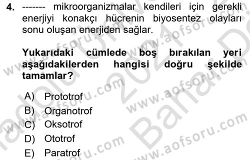 Temel Veteriner Mikrobiyoloji ve İmmünoloji Dersi 2021 - 2022 Yılı (Vize) Ara Sınav Soruları 4. Soru
