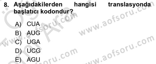 Temel Veteriner Mikrobiyoloji ve İmmünoloji Dersi 2021 - 2022 Yılı (Vize) Ara Sınav Soruları 8. Soru
