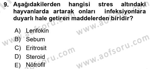 Temel Veteriner Mikrobiyoloji ve İmmünoloji Dersi 2021 - 2022 Yılı (Vize) Ara Sınav Soruları 9. Soru