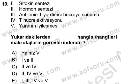 Temel Veteriner Mikrobiyoloji ve İmmünoloji Dersi 2021 - 2022 Yılı (Final) Dönem Sonu Sınav Soruları 10. Soru