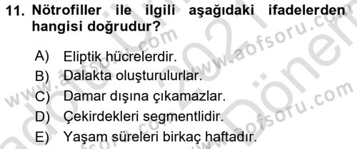 Temel Veteriner Mikrobiyoloji ve İmmünoloji Dersi 2021 - 2022 Yılı (Final) Dönem Sonu Sınav Soruları 11. Soru