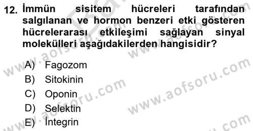 Temel Veteriner Mikrobiyoloji ve İmmünoloji Dersi 2021 - 2022 Yılı (Final) Dönem Sonu Sınav Soruları 12. Soru