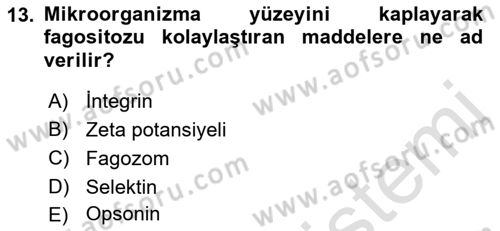 Temel Veteriner Mikrobiyoloji ve İmmünoloji Dersi 2021 - 2022 Yılı (Final) Dönem Sonu Sınav Soruları 13. Soru