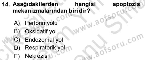 Temel Veteriner Mikrobiyoloji ve İmmünoloji Dersi 2021 - 2022 Yılı (Final) Dönem Sonu Sınav Soruları 14. Soru
