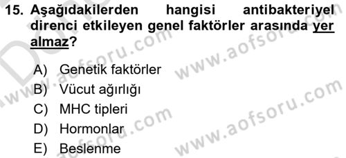 Temel Veteriner Mikrobiyoloji ve İmmünoloji Dersi 2021 - 2022 Yılı (Final) Dönem Sonu Sınav Soruları 15. Soru