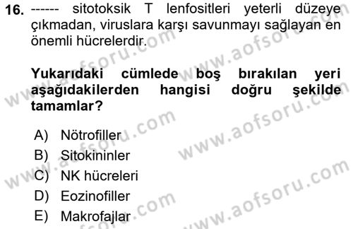 Temel Veteriner Mikrobiyoloji ve İmmünoloji Dersi 2021 - 2022 Yılı (Final) Dönem Sonu Sınav Soruları 16. Soru
