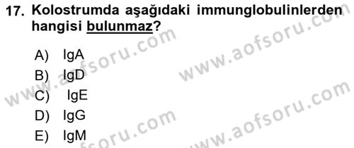 Temel Veteriner Mikrobiyoloji ve İmmünoloji Dersi 2021 - 2022 Yılı (Final) Dönem Sonu Sınav Soruları 17. Soru
