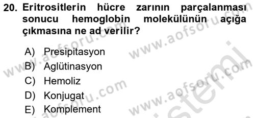 Temel Veteriner Mikrobiyoloji ve İmmünoloji Dersi 2021 - 2022 Yılı (Final) Dönem Sonu Sınav Soruları 20. Soru