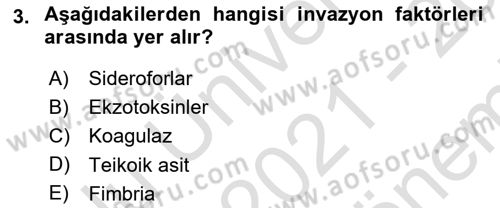 Temel Veteriner Mikrobiyoloji ve İmmünoloji Dersi 2021 - 2022 Yılı (Final) Dönem Sonu Sınav Soruları 3. Soru