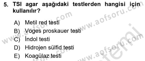Temel Veteriner Mikrobiyoloji ve İmmünoloji Dersi 2021 - 2022 Yılı (Final) Dönem Sonu Sınav Soruları 5. Soru