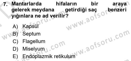 Temel Veteriner Mikrobiyoloji ve İmmünoloji Dersi 2021 - 2022 Yılı (Final) Dönem Sonu Sınav Soruları 7. Soru