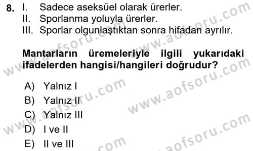 Temel Veteriner Mikrobiyoloji ve İmmünoloji Dersi 2021 - 2022 Yılı (Final) Dönem Sonu Sınav Soruları 8. Soru