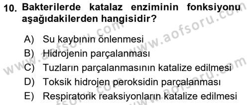 Temel Veteriner Mikrobiyoloji ve İmmünoloji Dersi 2021 - 2022 Yılı Yaz Okulu Sınav Soruları 10. Soru