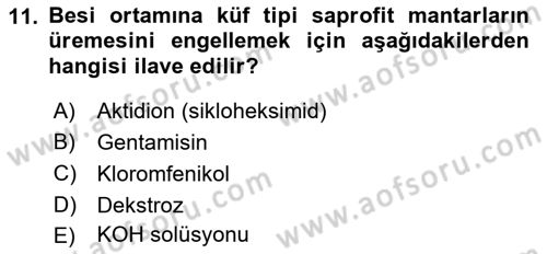 Temel Veteriner Mikrobiyoloji ve İmmünoloji Dersi 2021 - 2022 Yılı Yaz Okulu Sınav Soruları 11. Soru