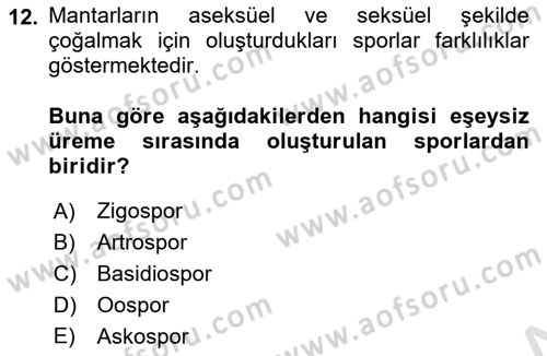 Temel Veteriner Mikrobiyoloji ve İmmünoloji Dersi 2021 - 2022 Yılı Yaz Okulu Sınav Soruları 12. Soru