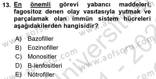 Temel Veteriner Mikrobiyoloji ve İmmünoloji Dersi 2021 - 2022 Yılı Yaz Okulu Sınav Soruları 13. Soru