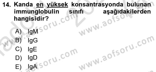 Temel Veteriner Mikrobiyoloji ve İmmünoloji Dersi 2021 - 2022 Yılı Yaz Okulu Sınav Soruları 14. Soru