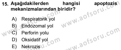 Temel Veteriner Mikrobiyoloji ve İmmünoloji Dersi 2021 - 2022 Yılı Yaz Okulu Sınav Soruları 15. Soru