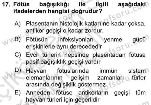 Temel Veteriner Mikrobiyoloji ve İmmünoloji Dersi 2021 - 2022 Yılı Yaz Okulu Sınav Soruları 17. Soru