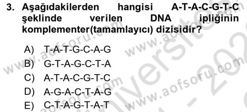 Temel Veteriner Mikrobiyoloji ve İmmünoloji Dersi 2021 - 2022 Yılı Yaz Okulu Sınavı 3. Soru