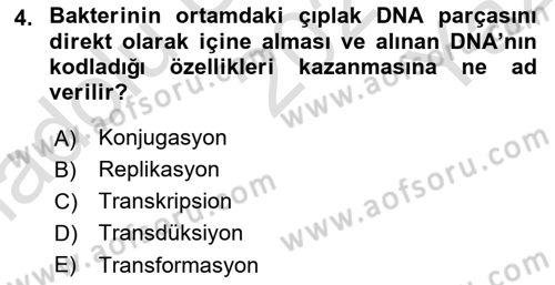 Temel Veteriner Mikrobiyoloji ve İmmünoloji Dersi 2021 - 2022 Yılı Yaz Okulu Sınav Soruları 4. Soru
