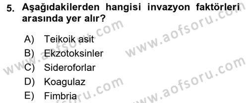 Temel Veteriner Mikrobiyoloji ve İmmünoloji Dersi 2021 - 2022 Yılı Yaz Okulu Sınav Soruları 5. Soru